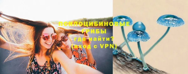 ешки Волоколамск